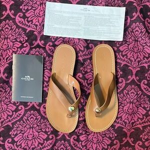 Coach Saddle Ellis LTR THNG